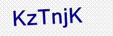 CAPTCHA Code: L U u P N J