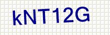 CAPTCHA Code: P 5 E z 6 N