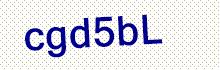 CAPTCHA Code: S a a p R T