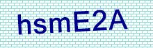 CAPTCHA Code: T 2 c l X 2