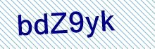 CAPTCHA Code: X K 5 N 1 d