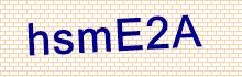 CAPTCHA Code: a K g 1 D f
