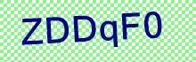 CAPTCHA Code: e h V s s V