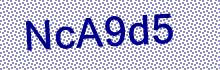 CAPTCHA Code: g Z 9 w Y 6