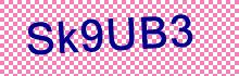 CAPTCHA Code: p Z 2 O l B