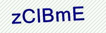 CAPTCHA Code: r p r j M o