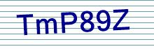 CAPTCHA Code: t l p V G 3