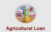 PNB Agricultural Banking